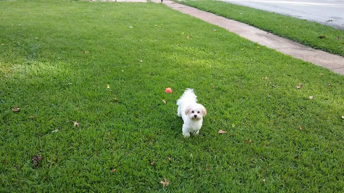 Banfield Pet Hospital 7