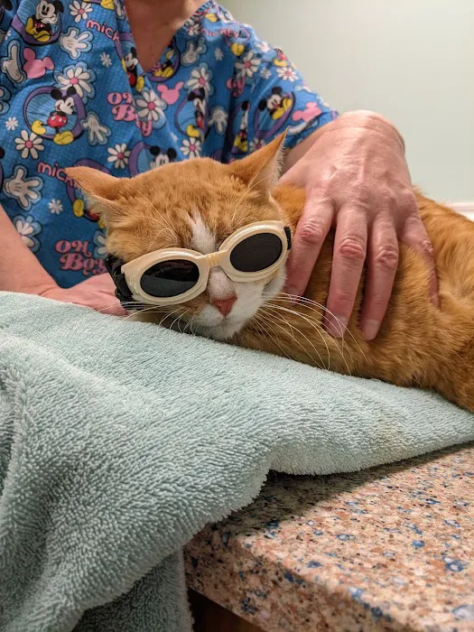 Big Bend Veterinary Clinic 1