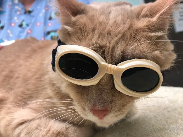 Big Bend Veterinary Clinic 5