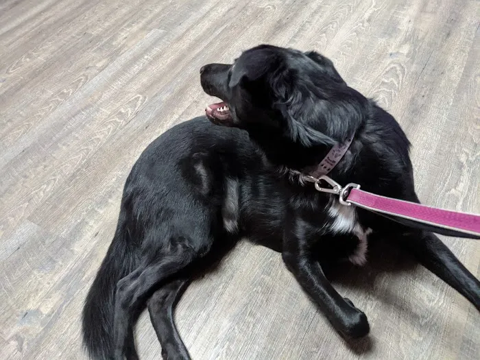 Big Bend Veterinary Clinic 6