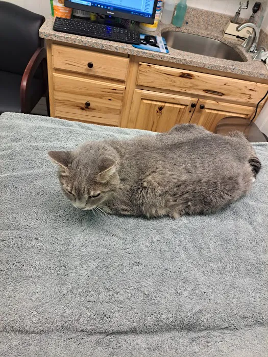 Big Bend Veterinary Clinic 8