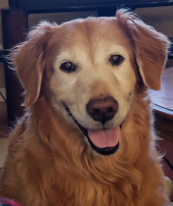 Animal Health & Healing 3