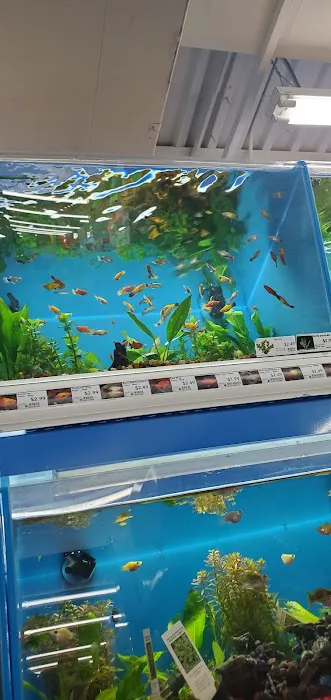 Pet Supermarket 12