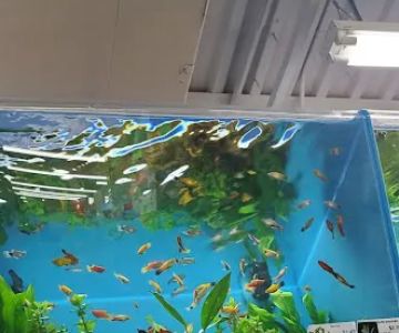 Pet Supermarket
