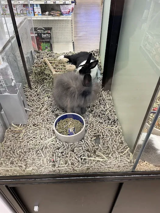 Pet Supermarket 12