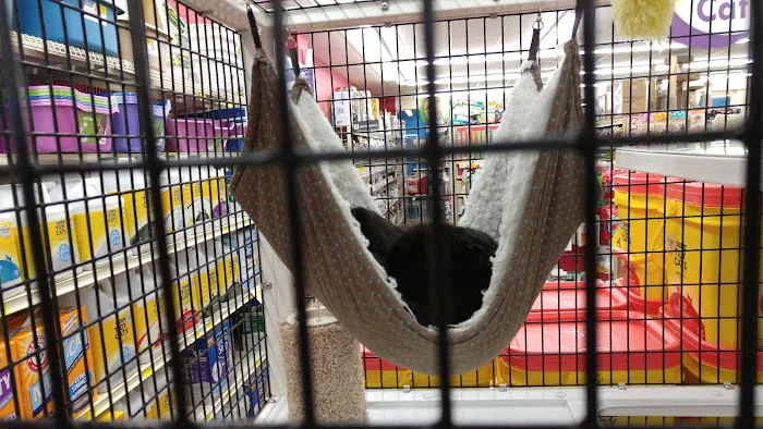 Pet Supermarket 12