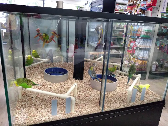 Pet Supermarket 12
