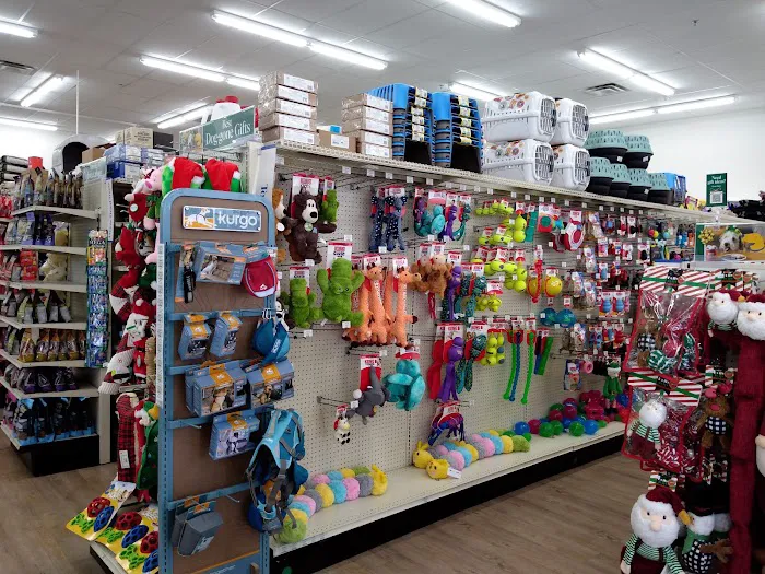 Pet Supermarket 12