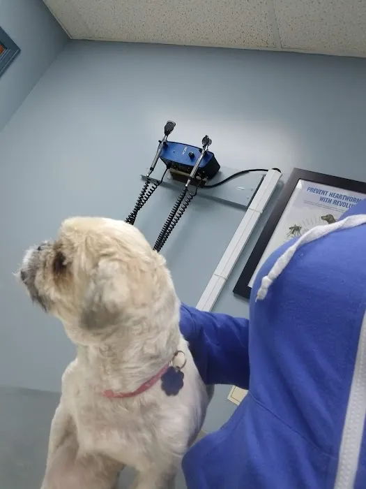 Ferguson Animal Hospital 12