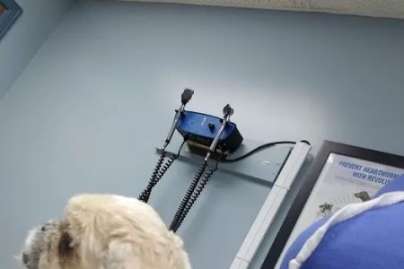 Ferguson Animal Hospital
