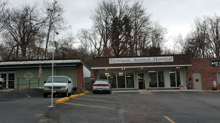 Ferguson Animal Hospital 12