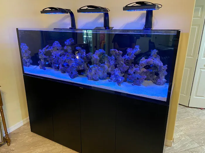 Aquatic Reef Design 12