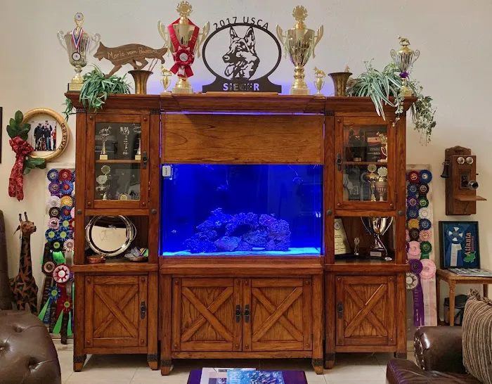 Aquatic Reef Design 12