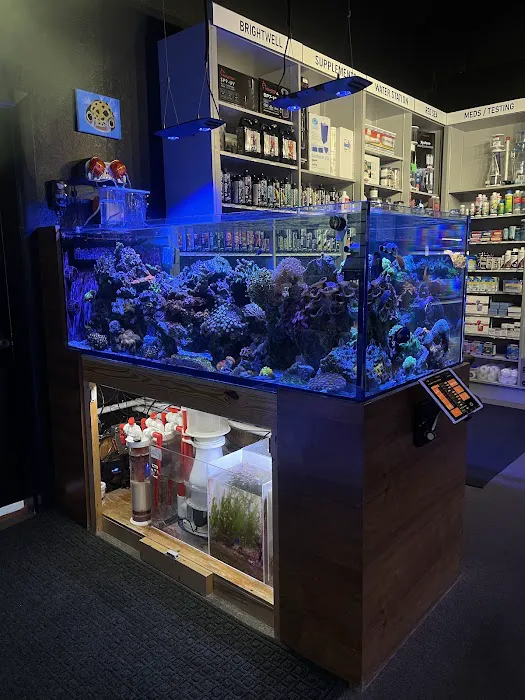 Aquatic Reef Design 12