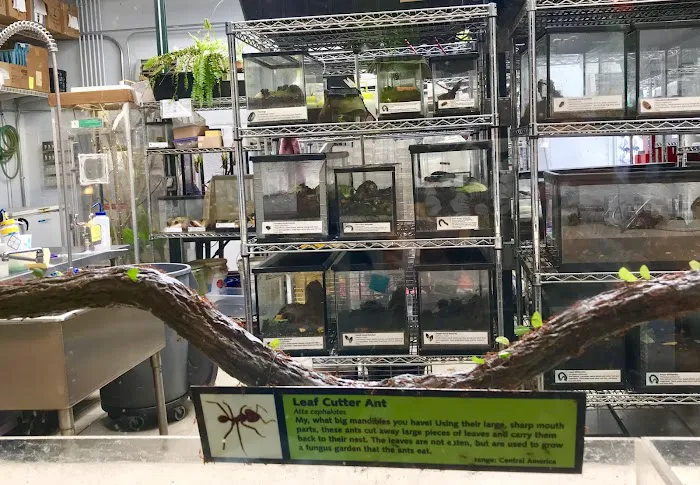 Animal Nutrition Center 2
