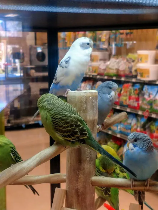 Petco 12