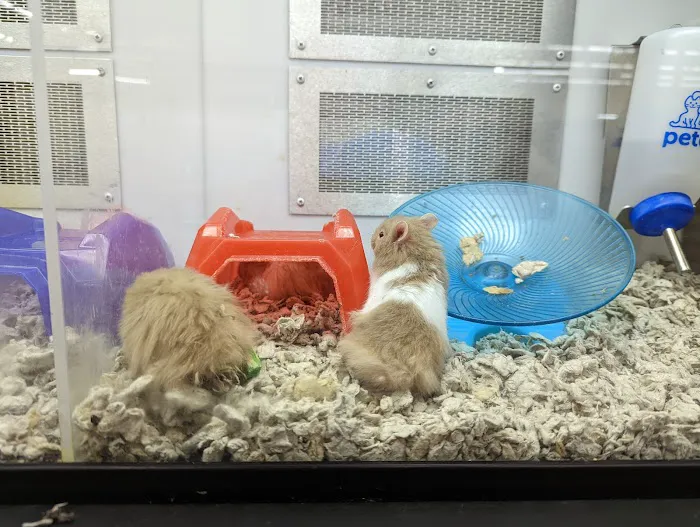 Petco 12