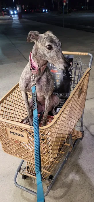 Petco 12