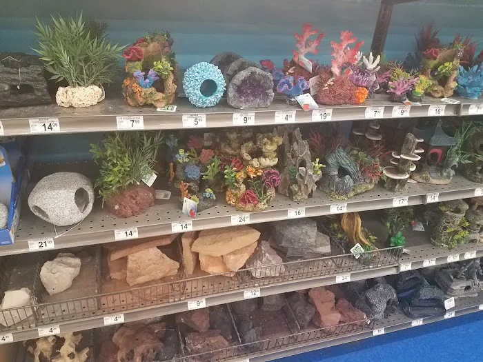 Petco 12