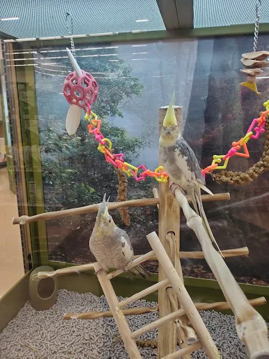 Petco 12