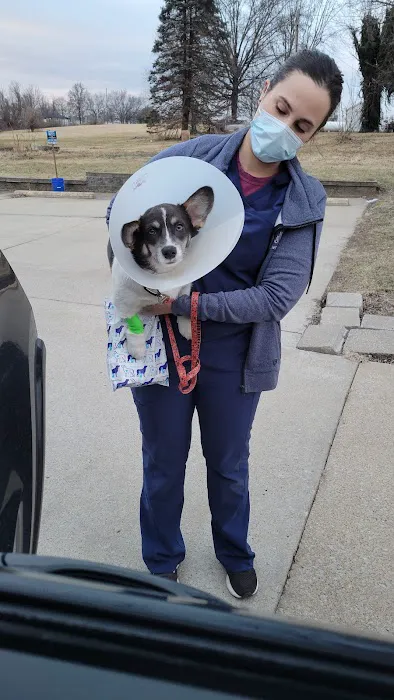 Arch Animal Hospital West 6