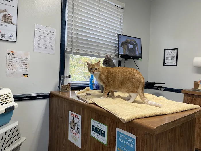Arch Animal Hospital West 8