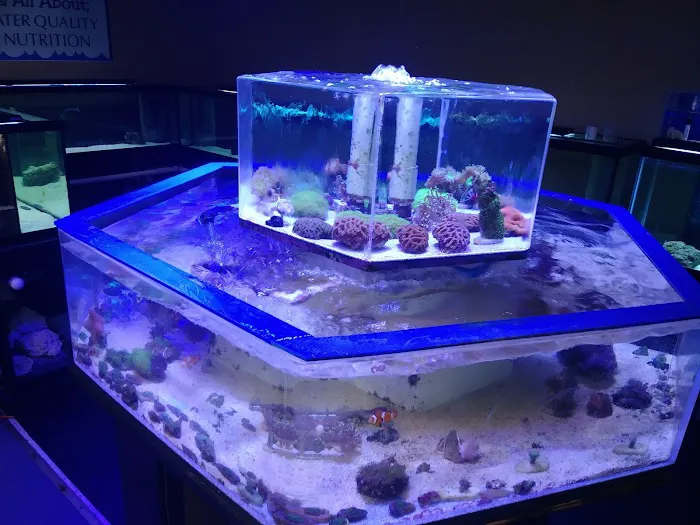Aqualinks 12