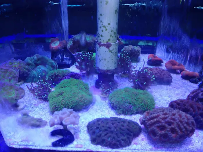 Aqualinks 12