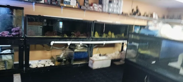 Aqualinks 12