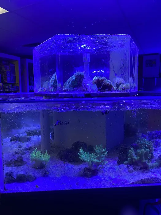 Aqualinks 12