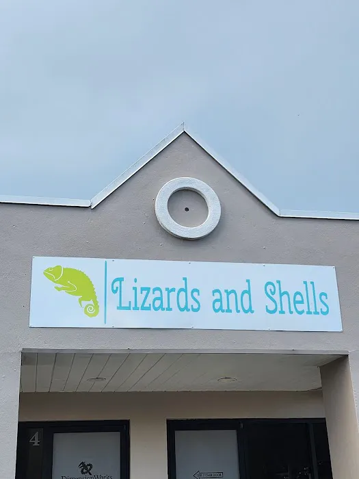 Lizards and Shells 12
