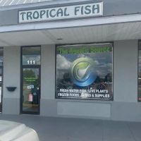 The Aquatic Source LLC ico