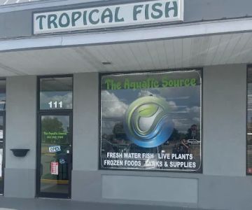 The Aquatic Source LLC