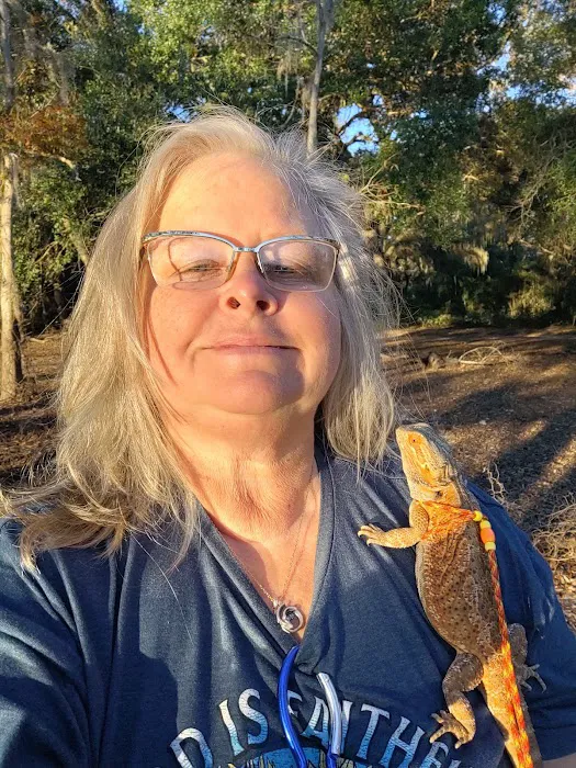 Donna's Discoids (Reptile Feeder Insects) Donna Foika 12