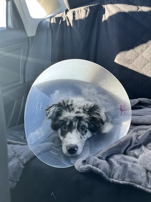 Mexico Road Animal Hospital 12