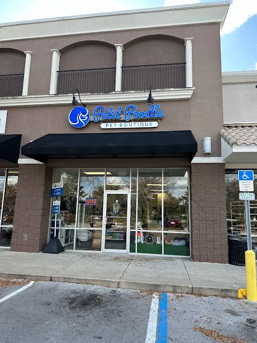 Petit Poodle Pet Boutique 12