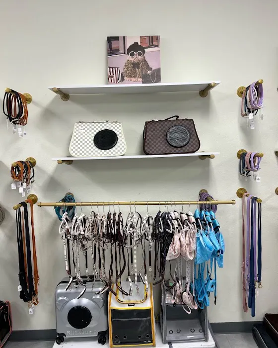 Petit Poodle Pet Boutique 12