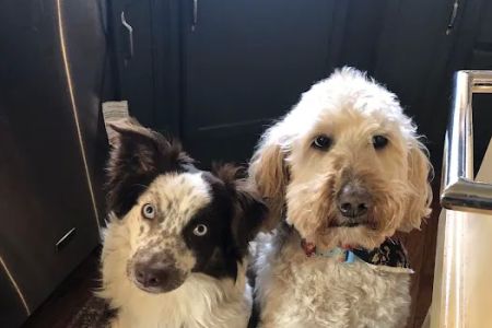 Bryan Road Animal Hospital