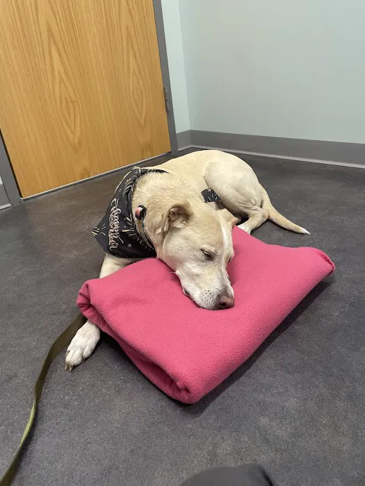 Bryan Road Animal Hospital 2