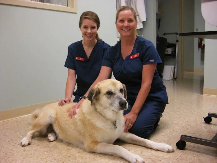 Bryan Road Animal Hospital 7