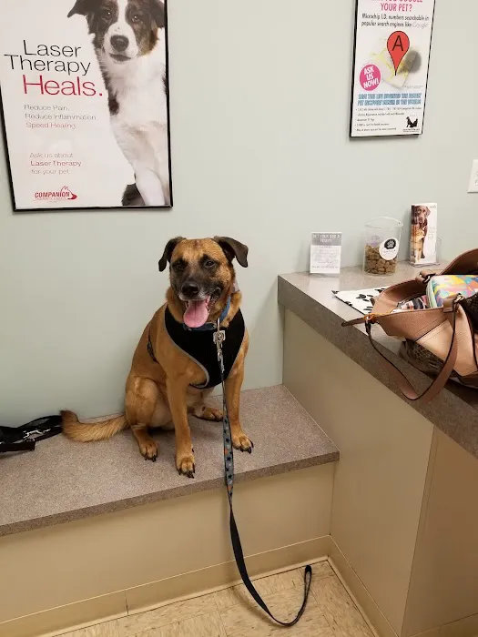 Bryan Road Animal Hospital 4