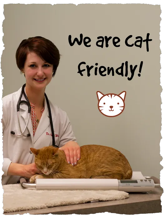 Bryan Road Animal Hospital 10
