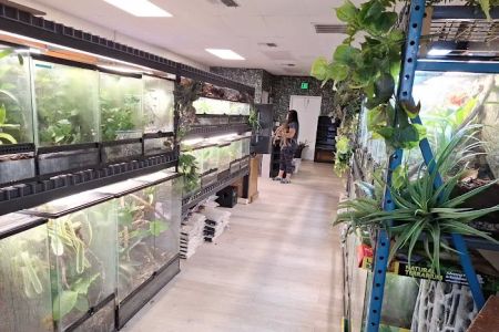 Giant Radioactive Turtle, Reptiles and More!