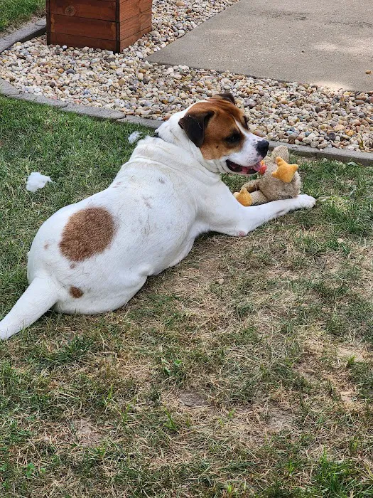 Cooper's Veterinary Care 12