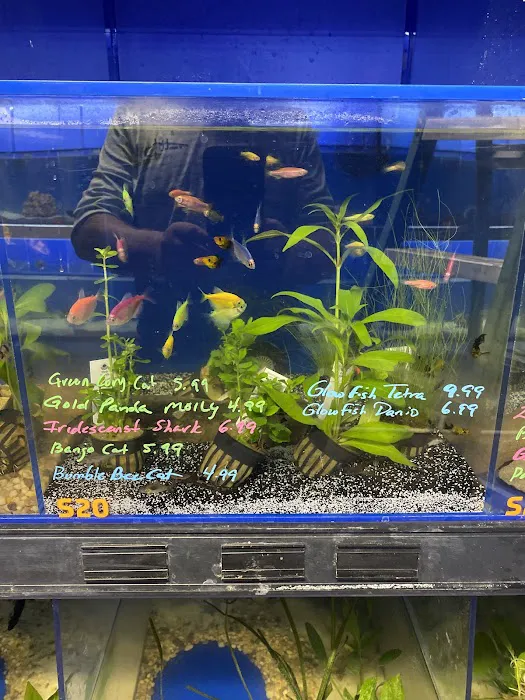 Fish-A-Rama 12