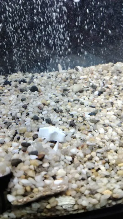 Fish-A-Rama 12