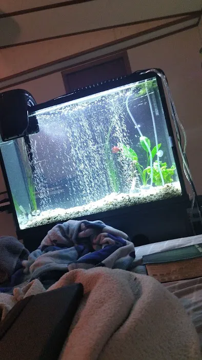 Fish-A-Rama 12