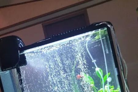 Fish-A-Rama