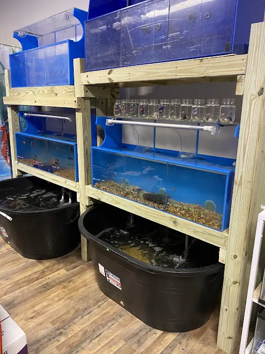 Fish-A-Rama 12