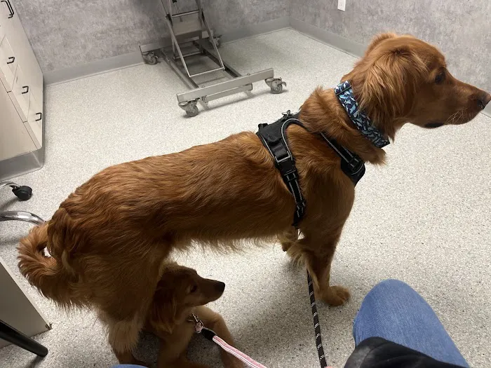 Pet Health Center 9